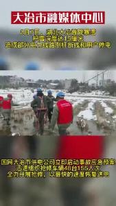 供电部门冒风雪抢修电路，只为了那万家灯火。
