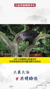 【大美大冶 共同缔造】共建美好家园