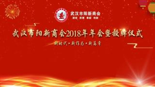  【现场直播】武汉市阳新商会2018年年会暨授牌仪式