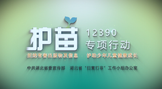  扫黄打非公益片