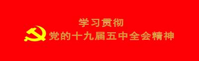 学习贯彻党的十九届五中全会精神