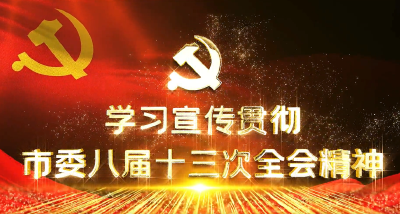 学习宣传贯彻市委八届十三次全会精神