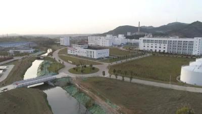 一季度集中开工项目共计39个！我市项目建设迸发新活力！