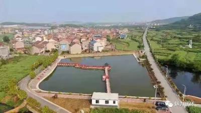 武穴市2021年第一季度“最洁净村庄”评选结果出炉，看哈恩村上榜了吗?