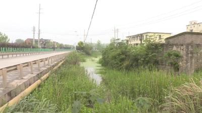 田镇港渠问题多