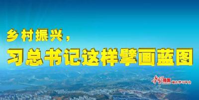 长图｜乡村振兴，习总书记这样擘画蓝图