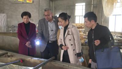 市政协开展走访政协委员企业活动