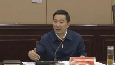 陈风：压实责任 解决问题 全力以赴推进项目建设