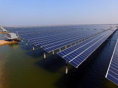 四望镇“能人经济”撬动乡村振兴