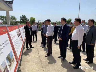 黄冈市人大代表工作暨“代表行动”座谈会在我市召开