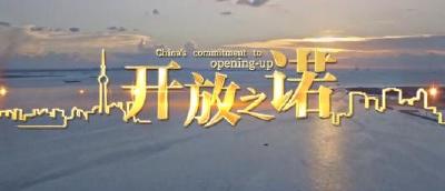 微视频丨开放之诺