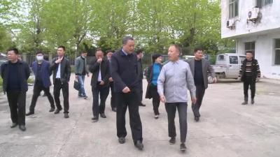 黄冈市政协副主席吴佑元来我市调研“三胞”企业服务工作