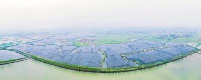 水上发电 水下养鱼 石佛寺朱河村唱响新“渔光曲”