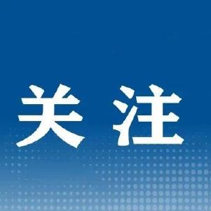 注意→这项整治行动来了！附武穴监督举报电话…