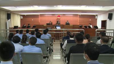 市人民法院依法公开开庭审理武穴市城乡居民养老保险局原职工陈文静贪污案