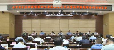 陈风强调：统一思想 压实责任 抓实举措 推动环境问题整改 改善生态环境质量