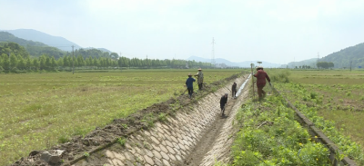 大坝村：主动领办民生实事 助力山药小镇建设