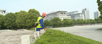 园林工人五一节假日坚守岗位抓“美城”