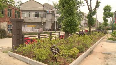 奋斗百年路 启航新征程 | 大法寺镇：党史学习教育“活”起来 为民办事“实”起来