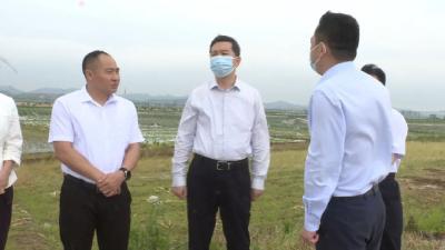陈风视察雷雨暴风灾情强调：坚持人民至上，生命至上，全力防灾减灾保安全