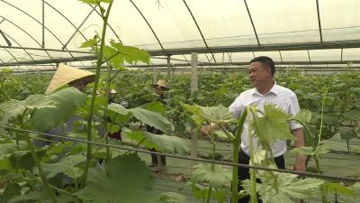 李兴泗村：外增“颜值”建美丽家园 内添“气质”育文明乡风