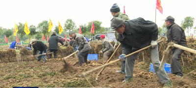 武穴：乡村美起来 产业旺起来 百姓的腰包鼓起来