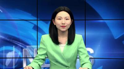 大法寺镇：党史学习教育“活”起来 为民办事“实”起来
