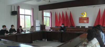 龙坪镇：形式多样 促进党史学习教育走深走实