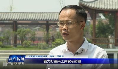 思想破冰 发展突围大讨论｜大金镇：向思想创新聚焦 为突破发展开路