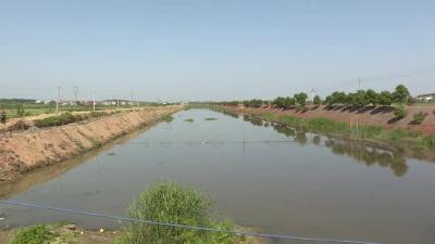 河道清障保畅通