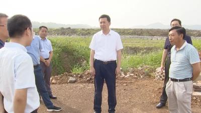 陈风实地调研督办项目建设