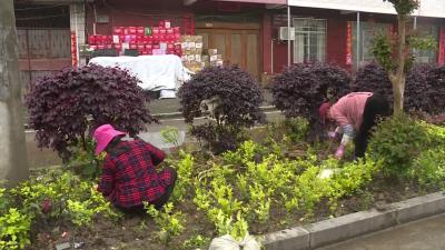 龙坪镇花园社区：学党史砥砺奋进 办实事践行初心