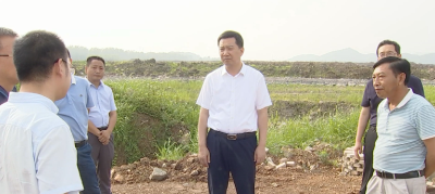 陈风深入实地调研督办项目建设