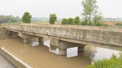 奋斗百年路 启航新征程 | 大金镇周梓村：做优做实农业产业 服务群众增产增收