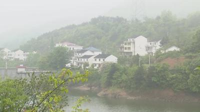 杨山村：支部强堡垒 党员当先锋 积极为民办实事