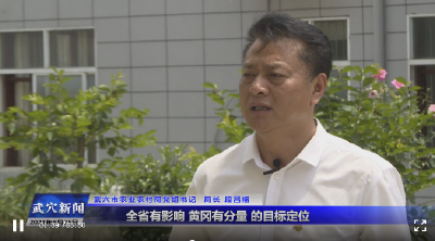 思想破冰 发展突围大讨论 | 市农业农村局: 以“三心”实现农业农村破冰突围