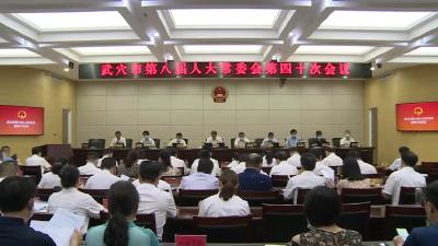 市八届人大常委会第四十次会议召开