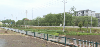 万丈湖新港社区：“小”治理带来“大”变化