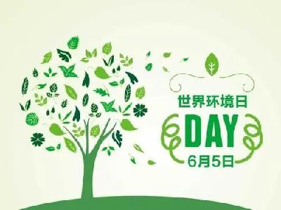 世界环境日—武穴法院公布两起保护环境案例