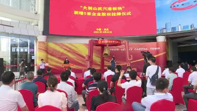 “大别山武穴港”板块再添新军 我市5家企业成功挂牌四板
