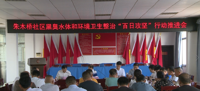 朱木桥社区黑臭水体和环境卫生整治“百日攻坚”行动推进会议召开