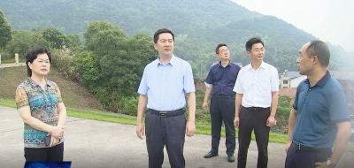 陈风检查指导水利工程建设、水库度汛、地灾点整治工作