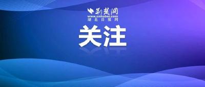 速看！湖北省提前批投档线公布