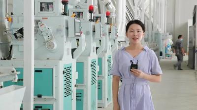 花桥镇：破冰突围谋发展  担当实干筑底盘