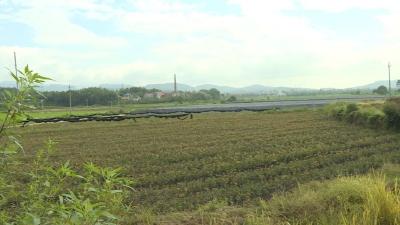 全会精神大家谈｜余川镇：擦亮旅游名片 走生态发展之路
