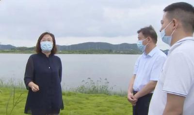 赵少莲到西马口湖开展巡湖督导