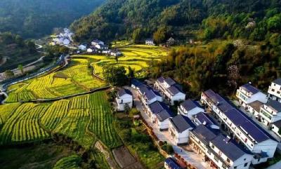 余川镇：擦亮旅游名片 走生态发展之路