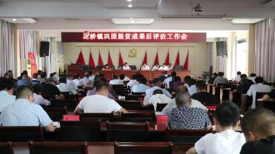 花桥镇召开巩固脱贫成果后评估工作会