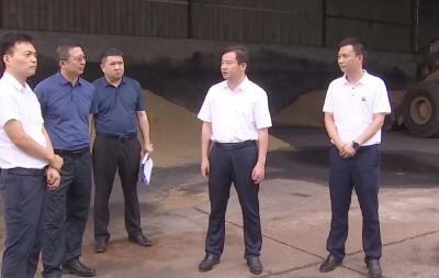 胡昊现场督导环保督察问题整改落实和黄黄高铁项目建设