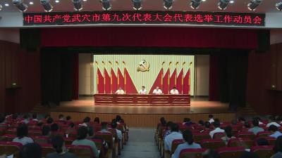 我市召开第九次党代会代表选举工作会议